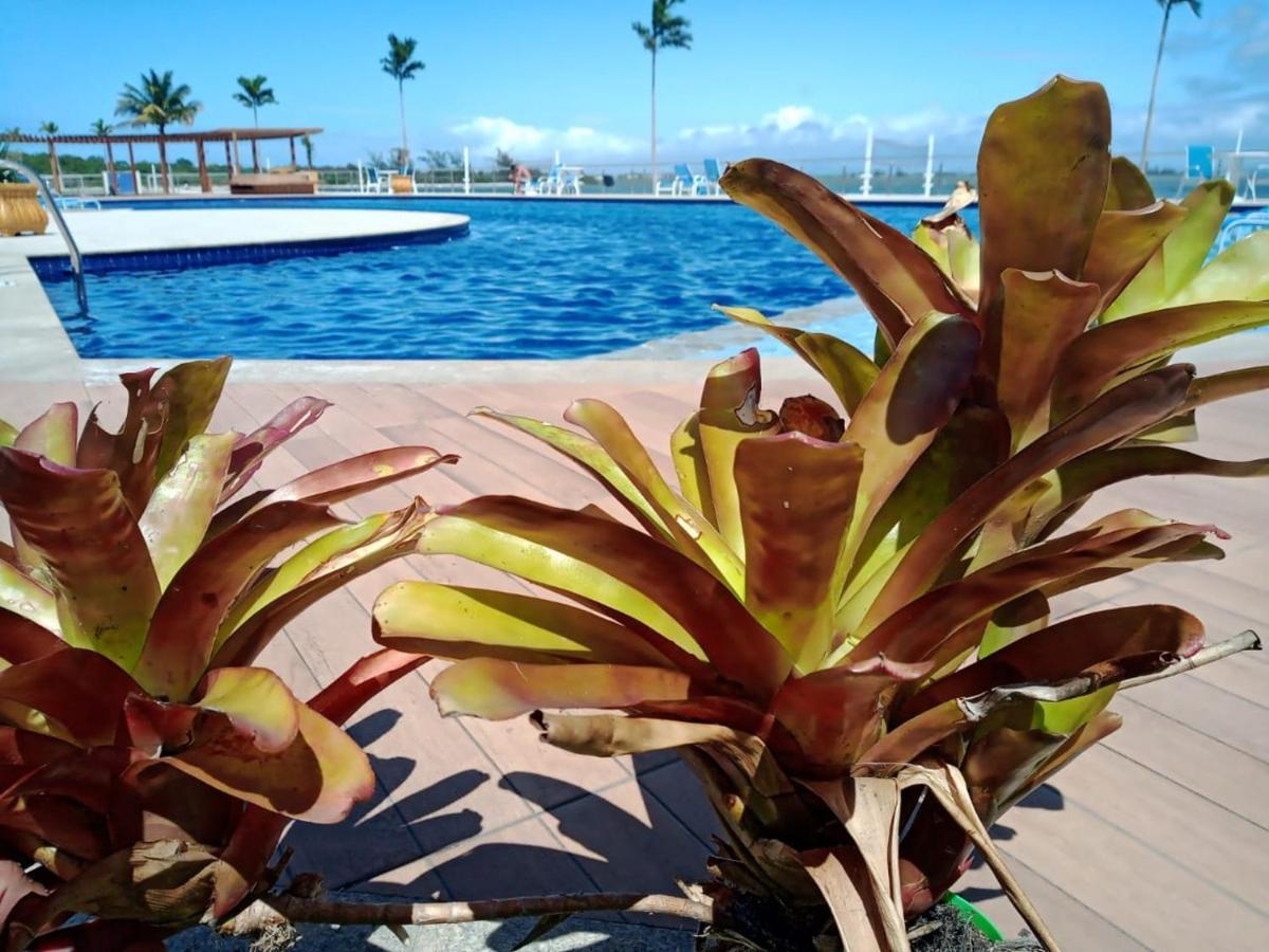 Excelente Apartamento Entre A Lagoa E O Mar!!! アハイアウ・ド・カボ エクステリア 写真